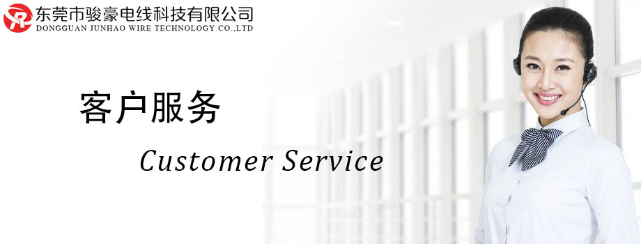 PA尊龙凯时电线客户服务中心