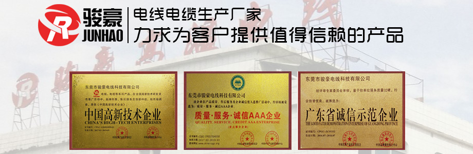 PA尊龙凯时电线声誉证书展示